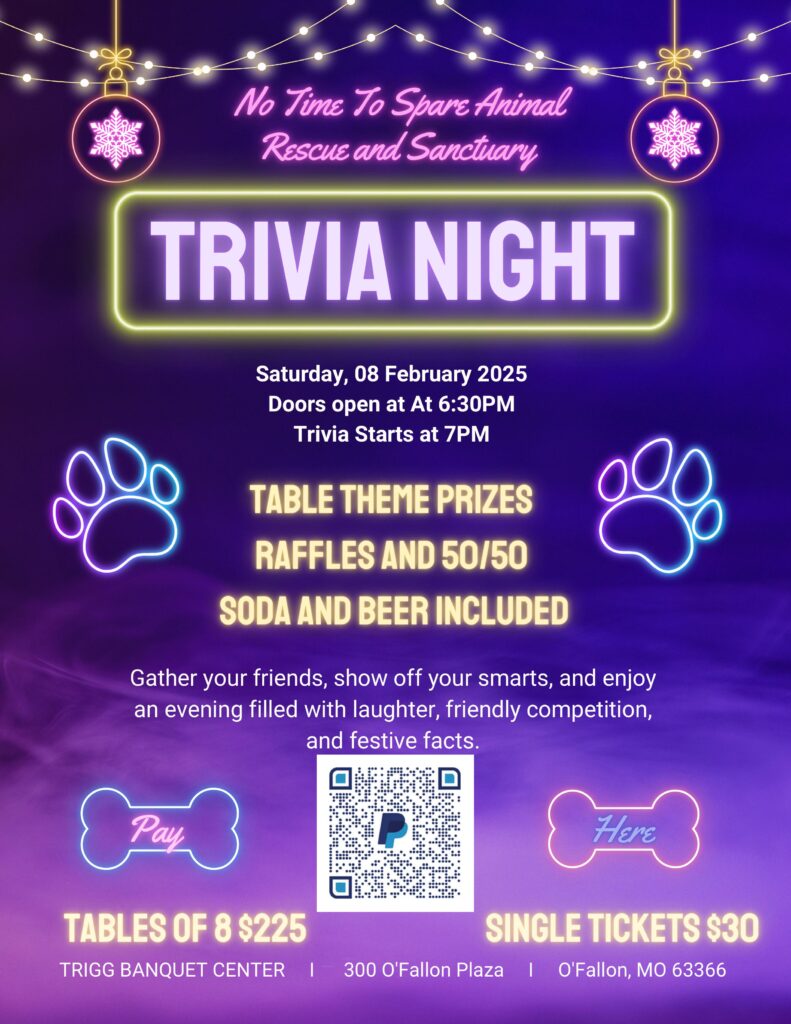 trivia-fundraising-event-flyer