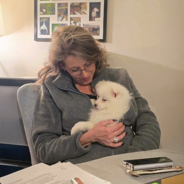 compassionate-no-kill-shelter