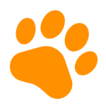 orange-pup-paw