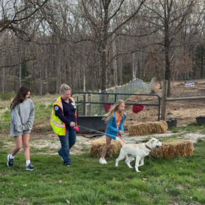 volunteer-animal-shelter-mo-12