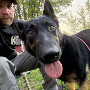 volunteer-animal-shelter-mo-13