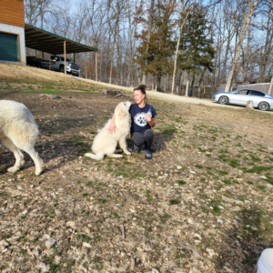 volunteer-animal-shelter-mo-4