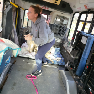 volunteer-animal-shelter-mo-5