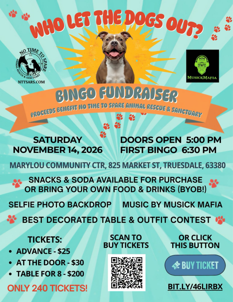 nttsars-bingo-fundraiser